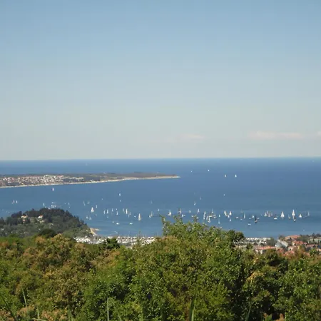 Ritosa