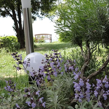 Ritosa Apartma