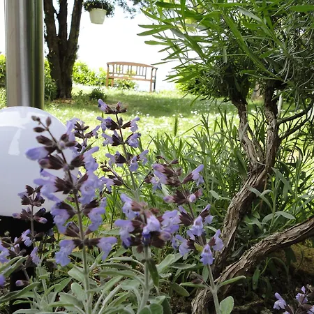 Апартаменты Ritosa *