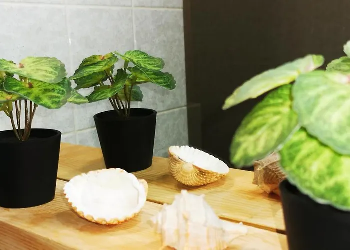 Ritosa Διαμέρισμα Izola